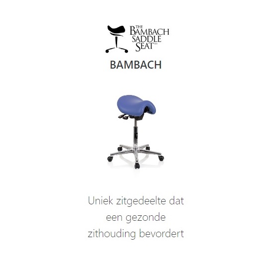 Bambach2023b