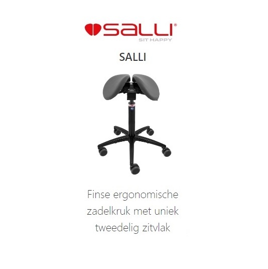 Salli2026